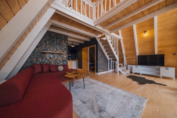 DSCF1615-Geliştirilmiş-NR