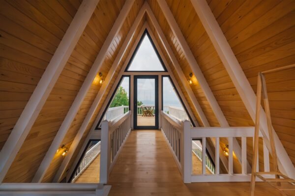 DSCF1646-Geliştirilmiş-NR